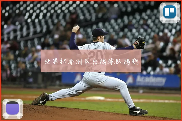 世界杯非洲区出线球队揭晓
